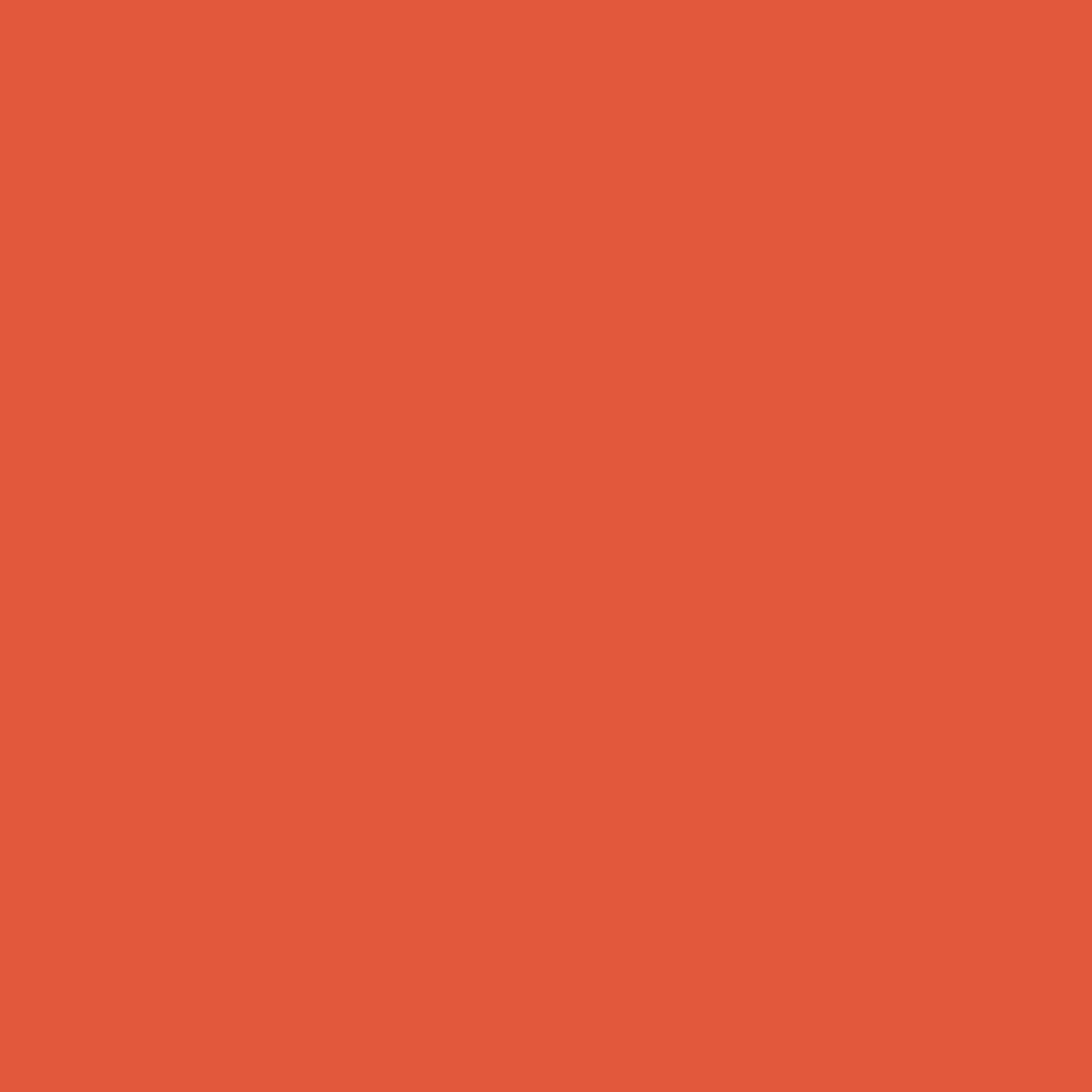 Sichtschutz Leuchtorange (RAL® 2005)