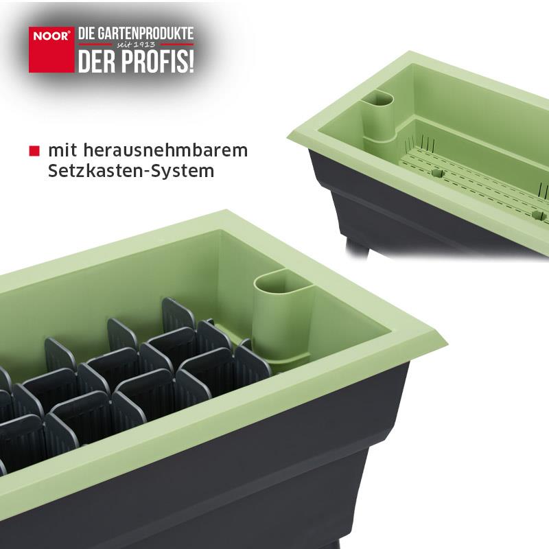 Hochbeet Calipso 81x38x100cm Komplettset mit HaubeFarbe: grün