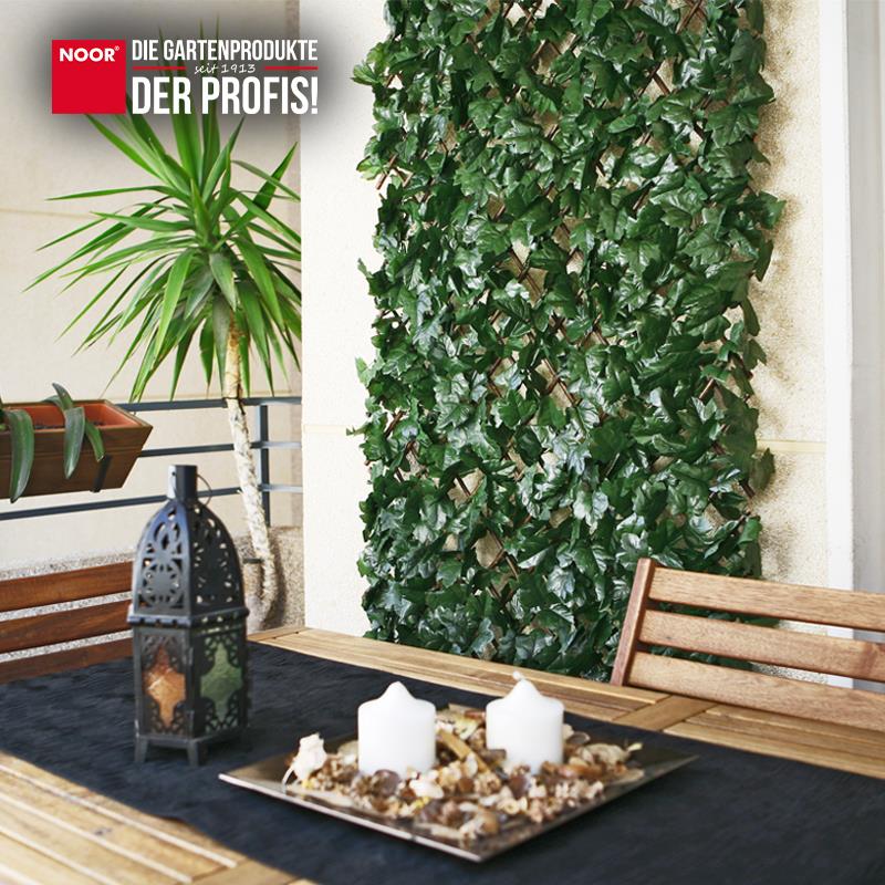 Rankhecke Weide mit Laub Laubhecke Spalier 1x2 m Rankhecke Weide mit Laub Laubhecke Spalier 1x2 m