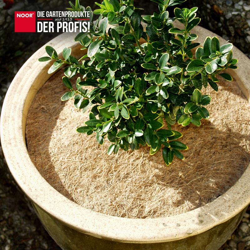 Kokosscheibe Kokos Scheibe WinterschutzDurchmesser: 25 cm