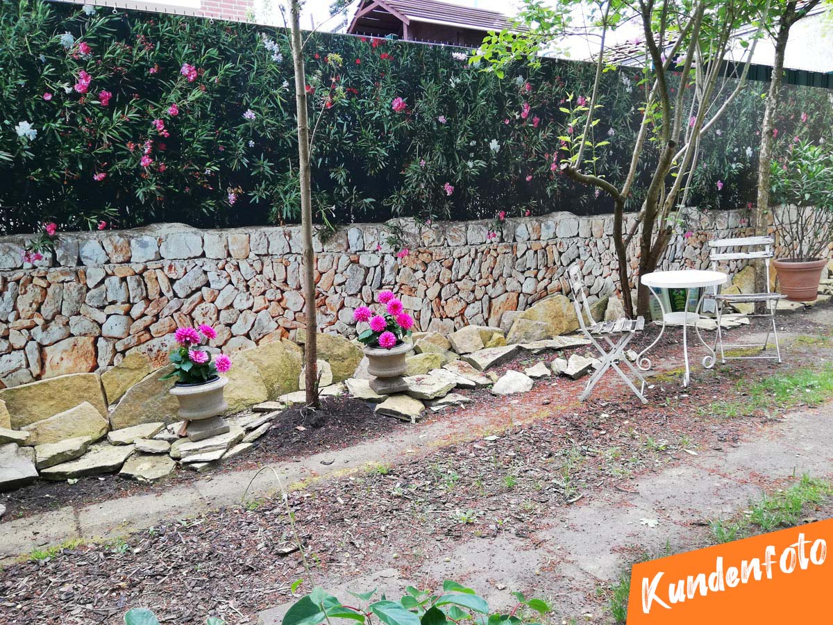 kundenfoto-von-myfence-bunte-rosaly-b