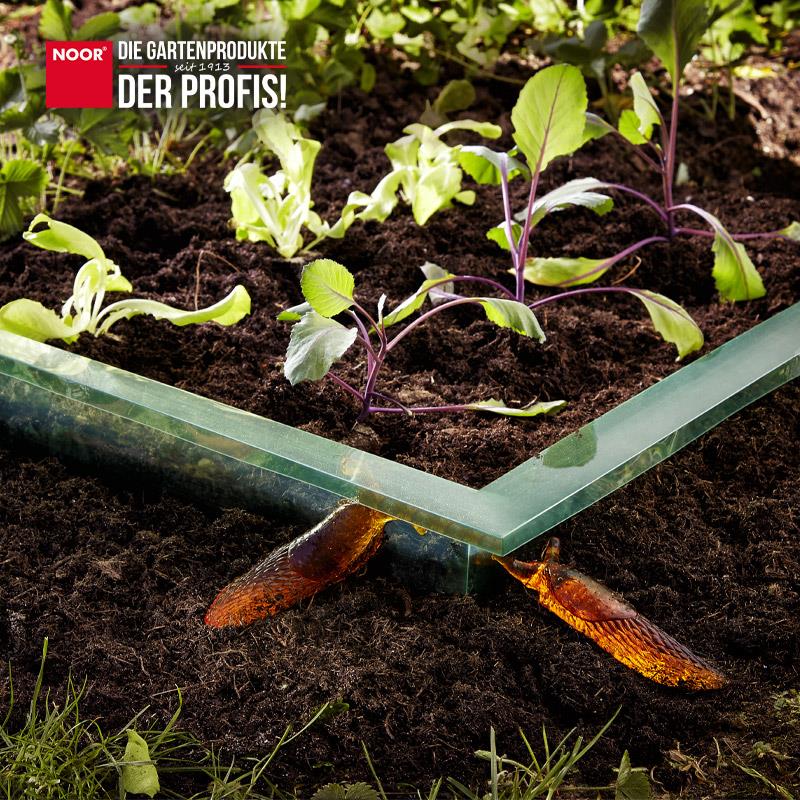 Schneckenbarriere 20 cm x 8 m Doppelfalz grün