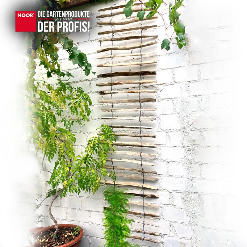 Haselnuss-Rankhilfe 50 x 200 cm 3-4 Lattenabstand