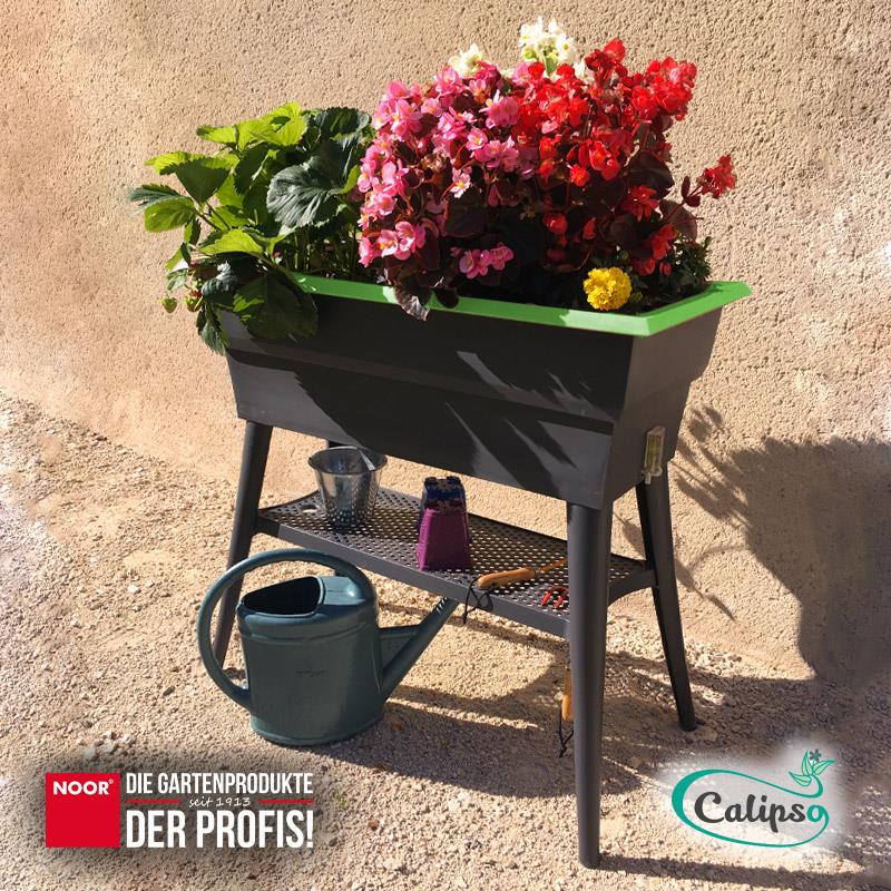 Hochbeet Calipso 81x38x100cm Komplettset mit HaubeFarbe: grün