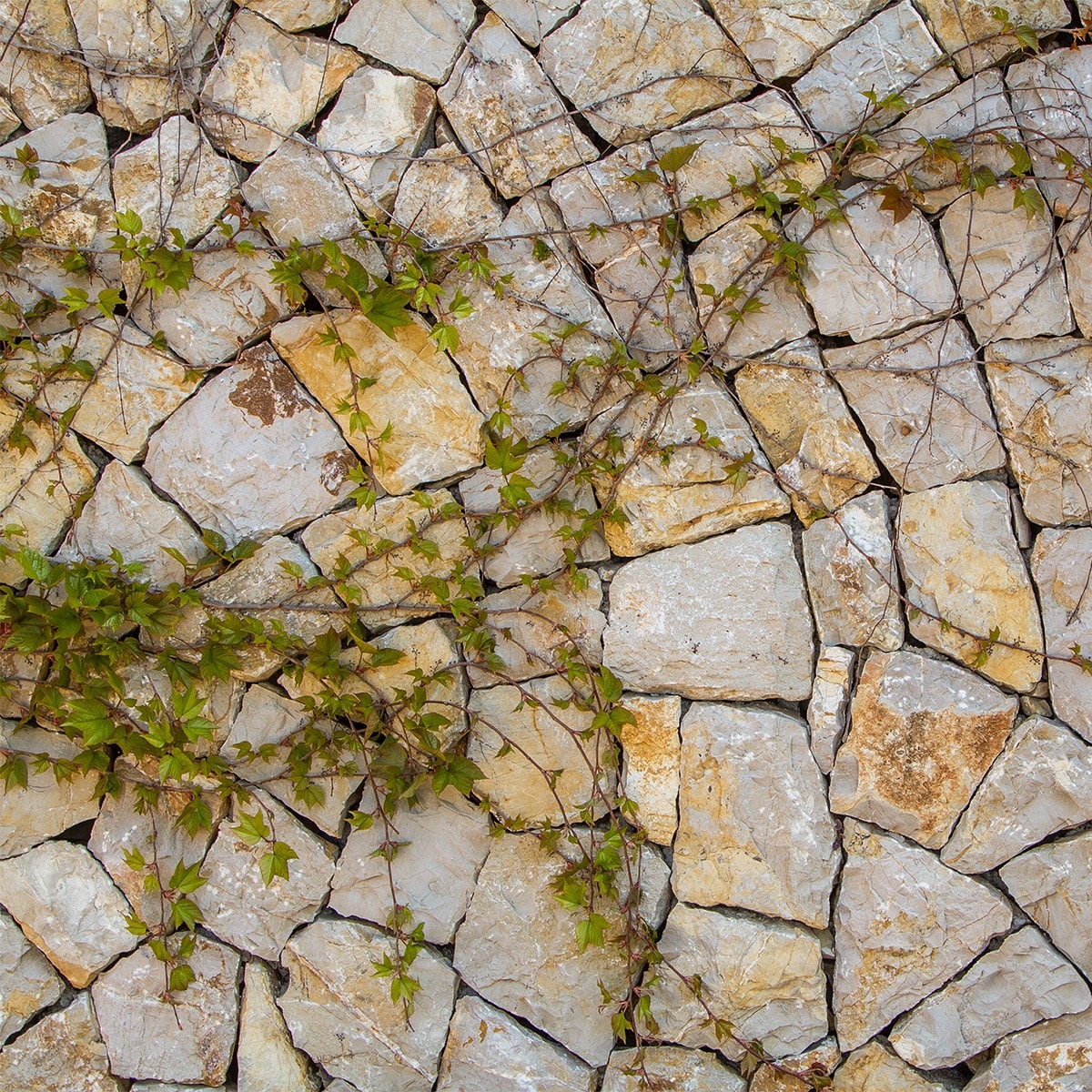 VinoStone