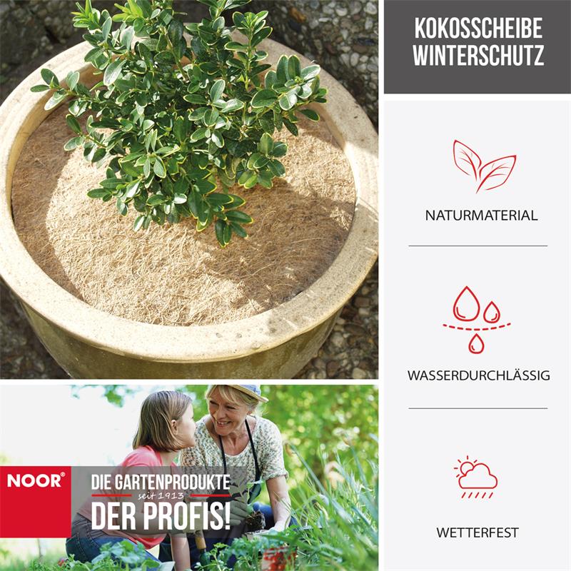 Kokosscheibe Kokos Scheibe WinterschutzDurchmesser: 25 cm