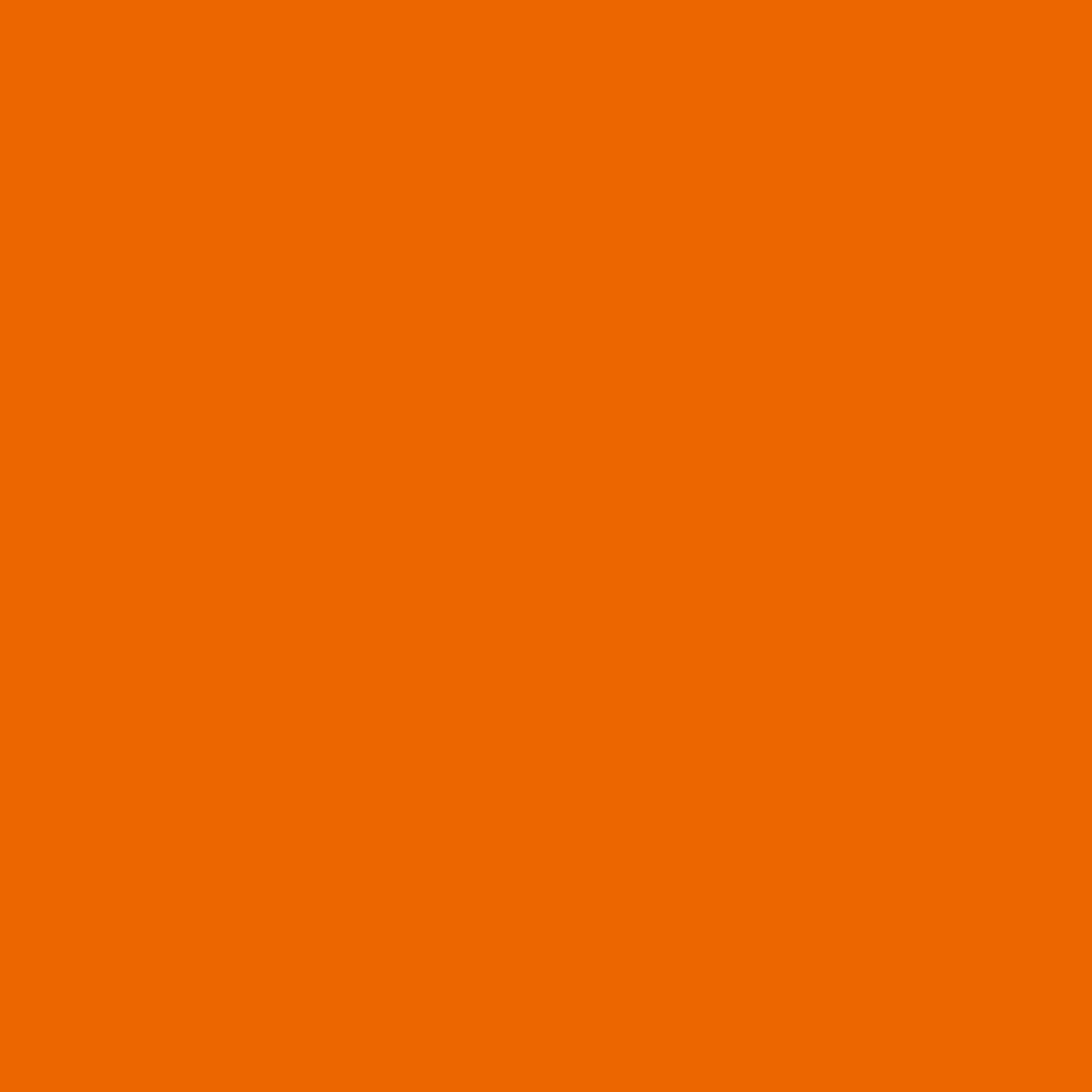 Sichtschutz Reinorange (RAL® 2004)