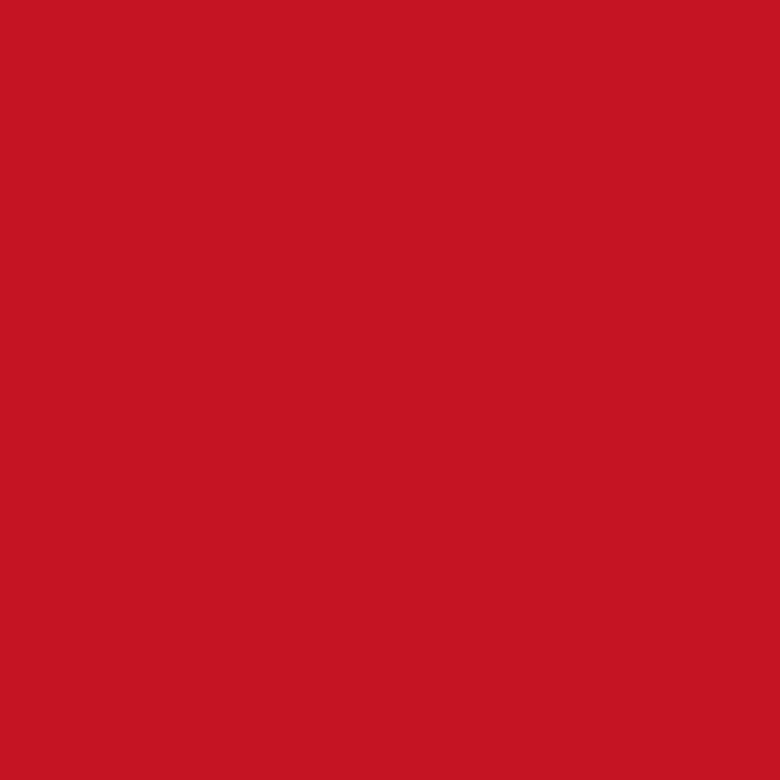 Sichtschutz Orientrot (RAL® 3031)