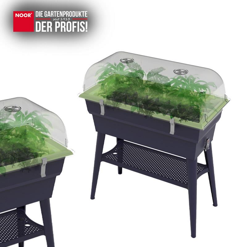 Hochbeet Calipso 81x38x100cm Komplettset mit HaubeFarbe: grün