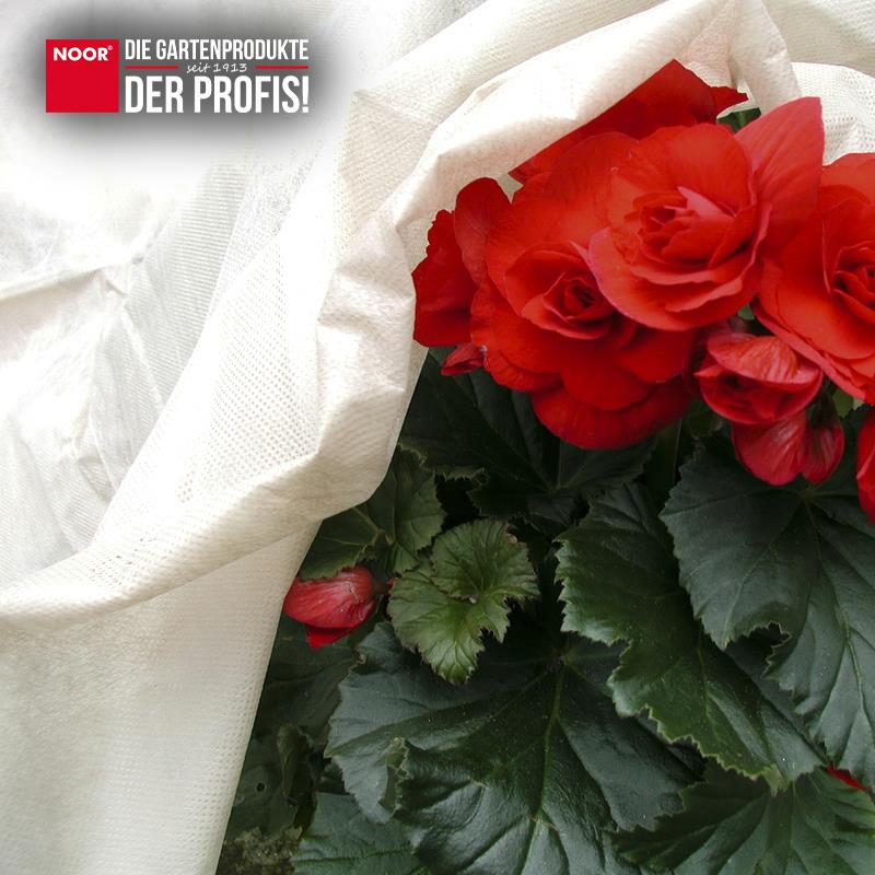 Winterschutz Rosenhaube 2er Pack 75x80cm weiß