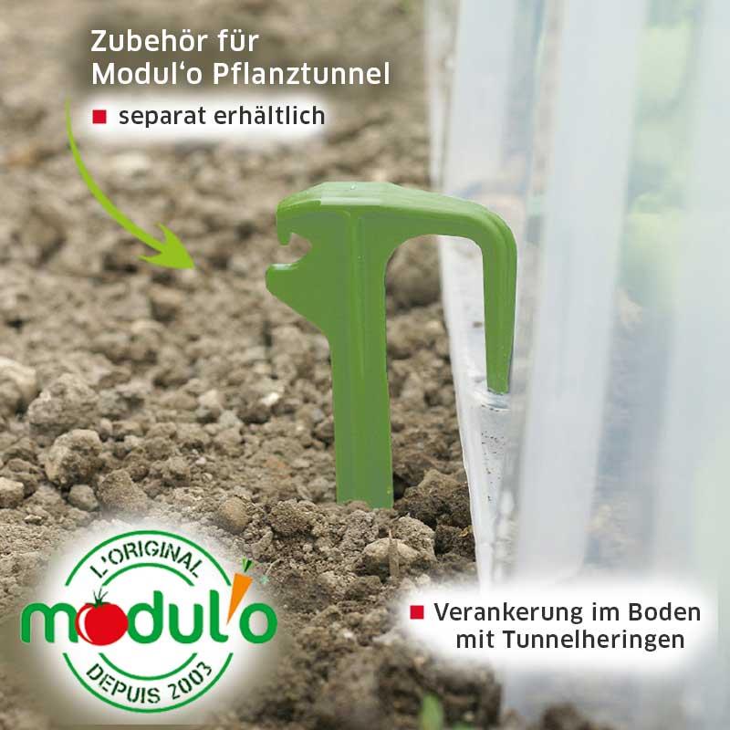 Pflanztunnel Modulo 60 (79 x 59 x 50 cm)