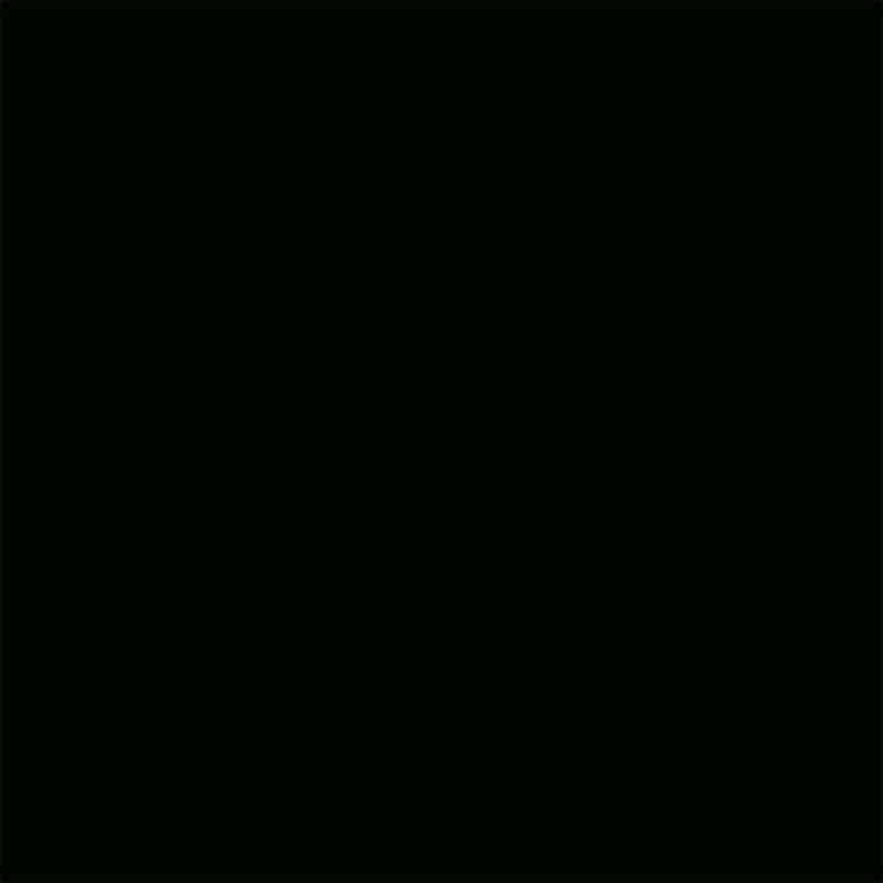 Signalschwarz (RAL® 9004)