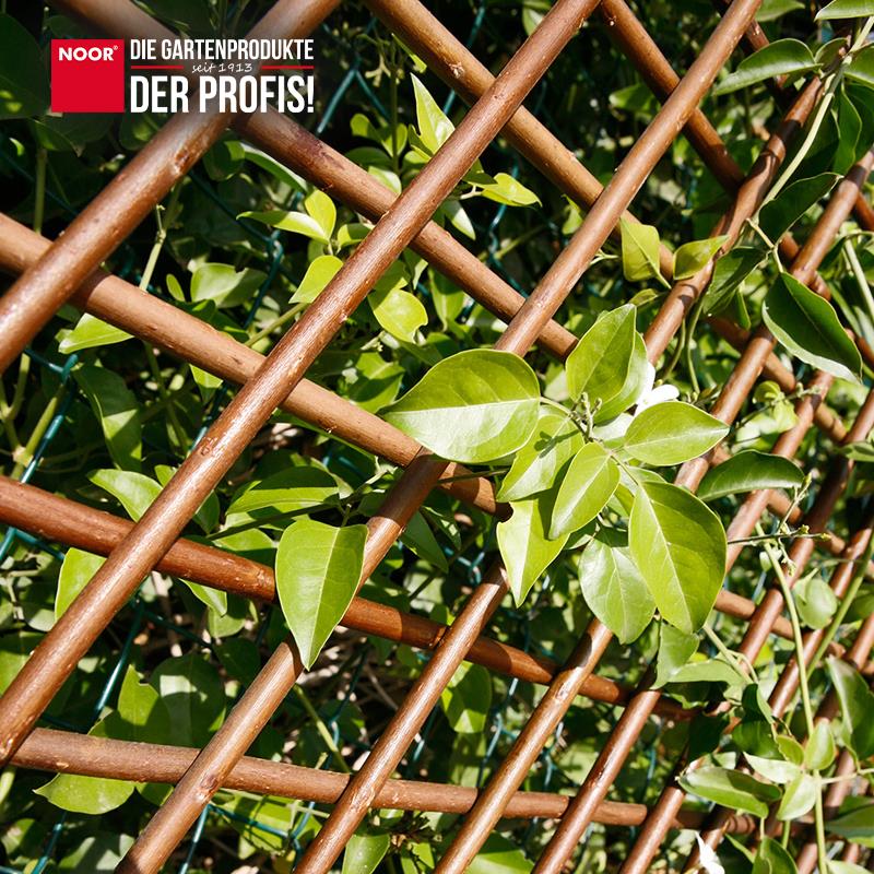 Rankgitter Weide Spalier ausziehbar bis zu 1x2 m