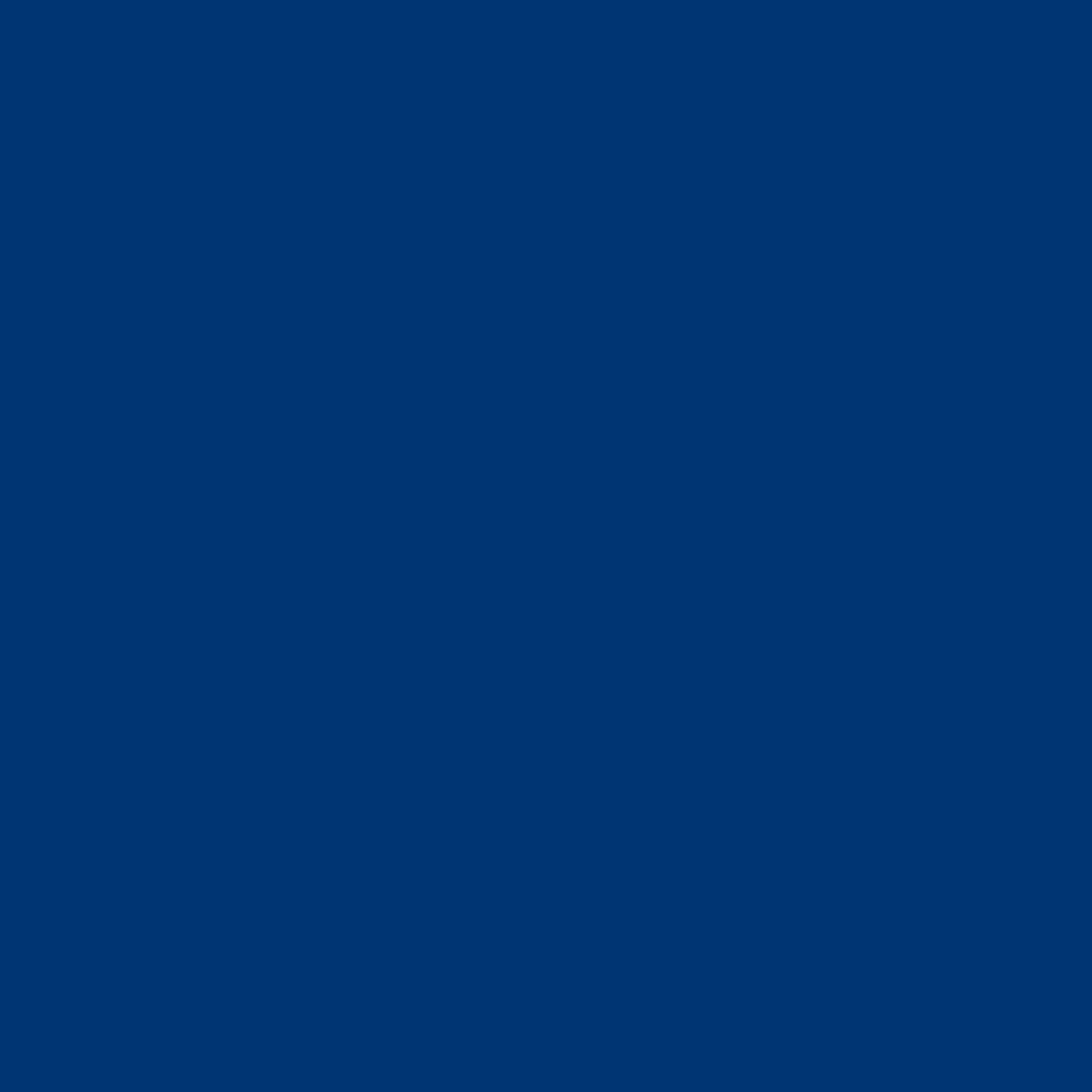 Sichtschutz Ultramarinblau (RAL® 5002)