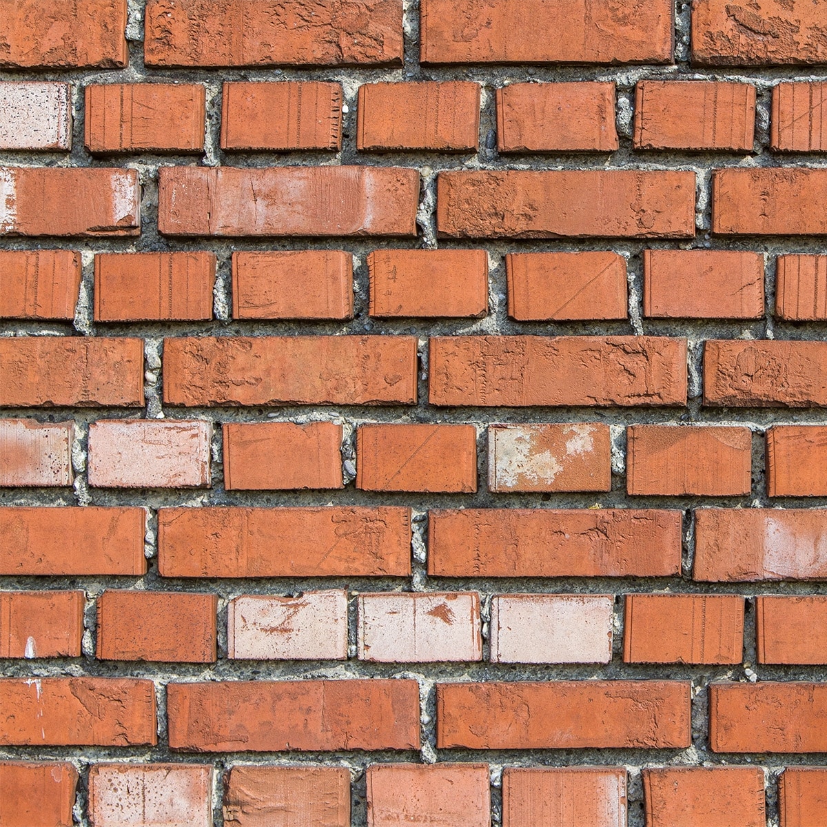 Sichtschutz Ziegelsteinmauer
