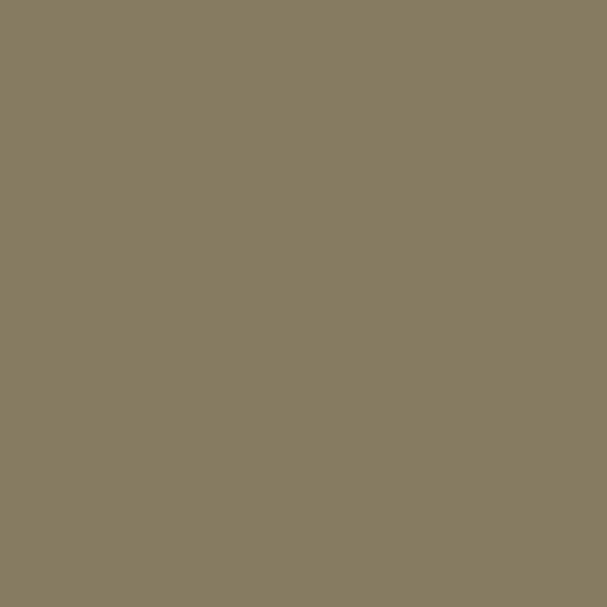 Sichtschutz Olivgrau (RAL® 7002)