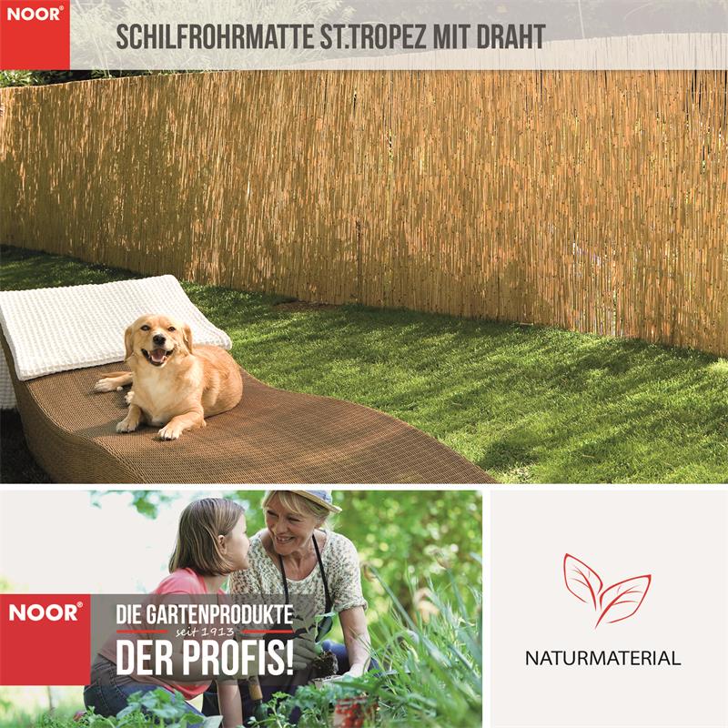 Schilfrohrmatte Sichtschutz ST. TROPEZ mit Drahtca. Größe (HxB): 1,60x6 m