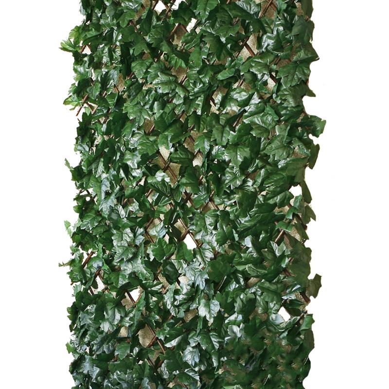 Rankhecke Weide mit Laub Laubhecke Spalier 1x2 m