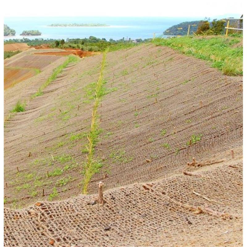 Erosionsschutzmatte Kokos Netz 2,0x50m 400 g/m²