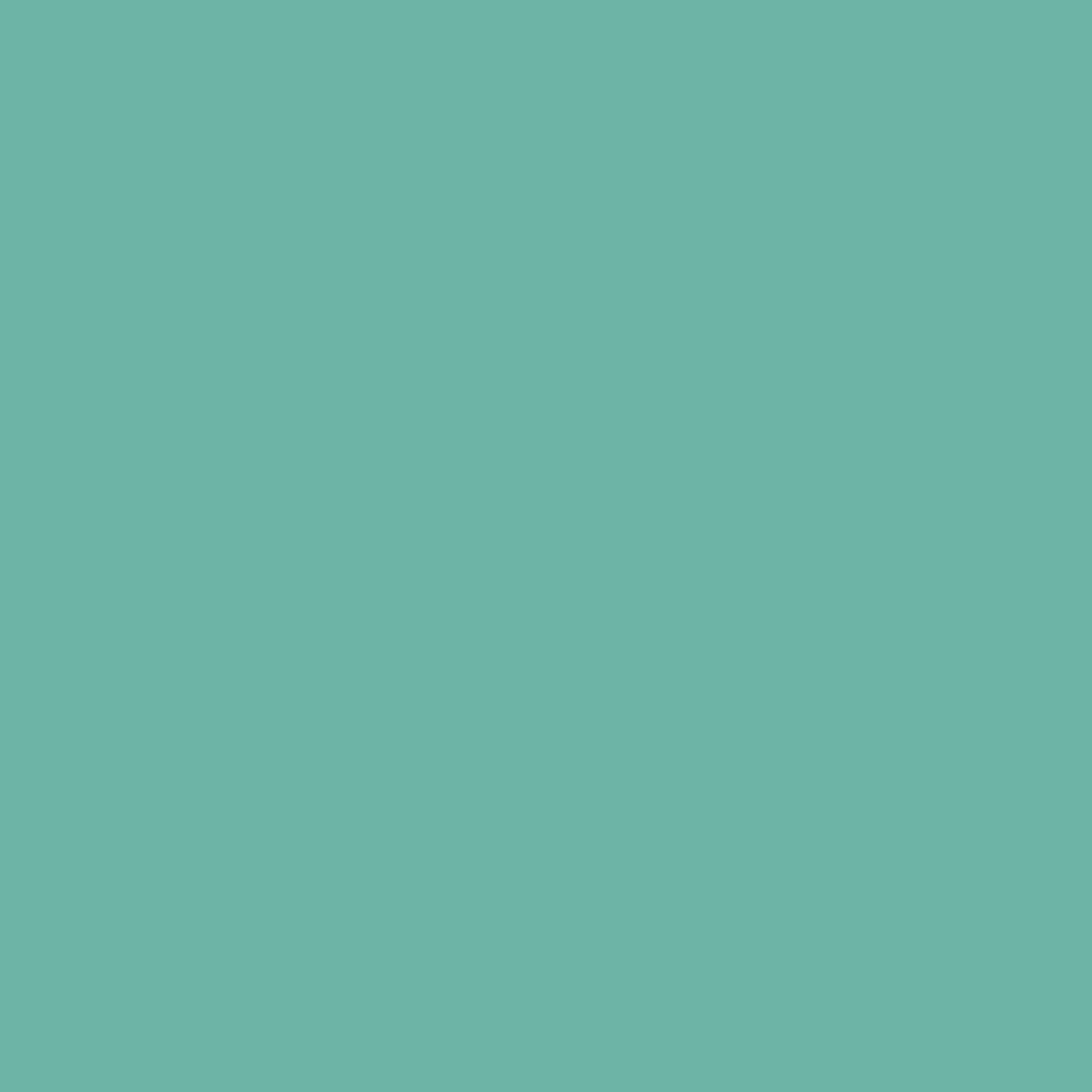 Sichtschutz Pastellgrün (RAL® 6034)