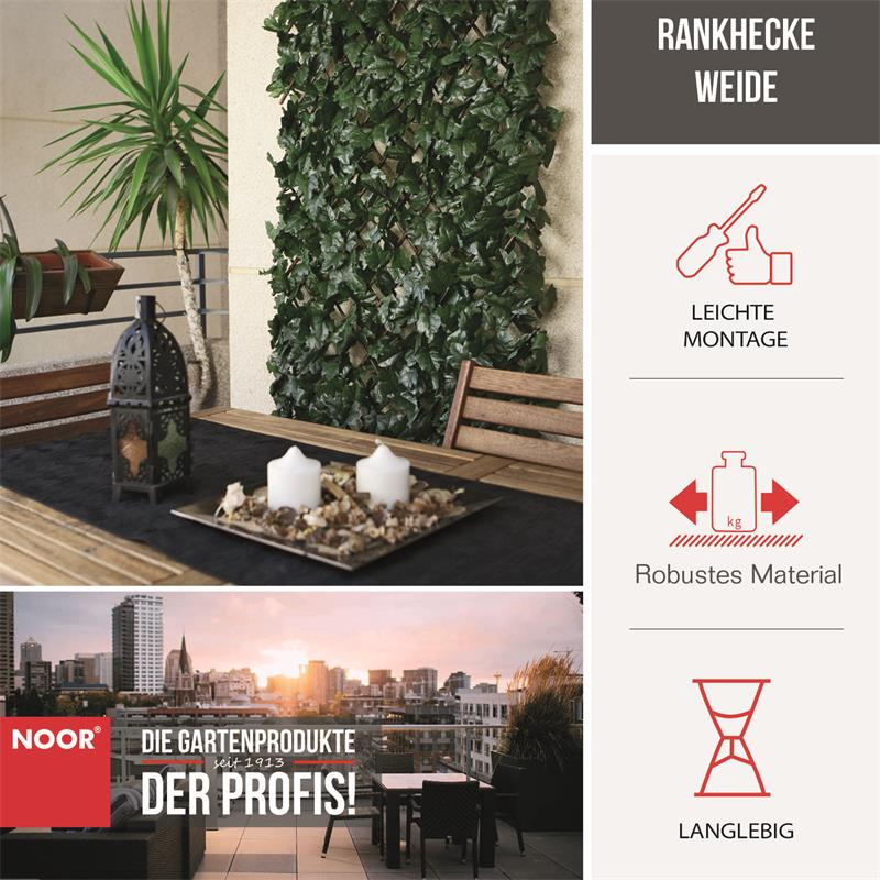 Rankhecke Weide mit Laub Laubhecke Spalier 1x2 m Rankhecke Weide mit Laub Laubhecke Spalier 1x2 m