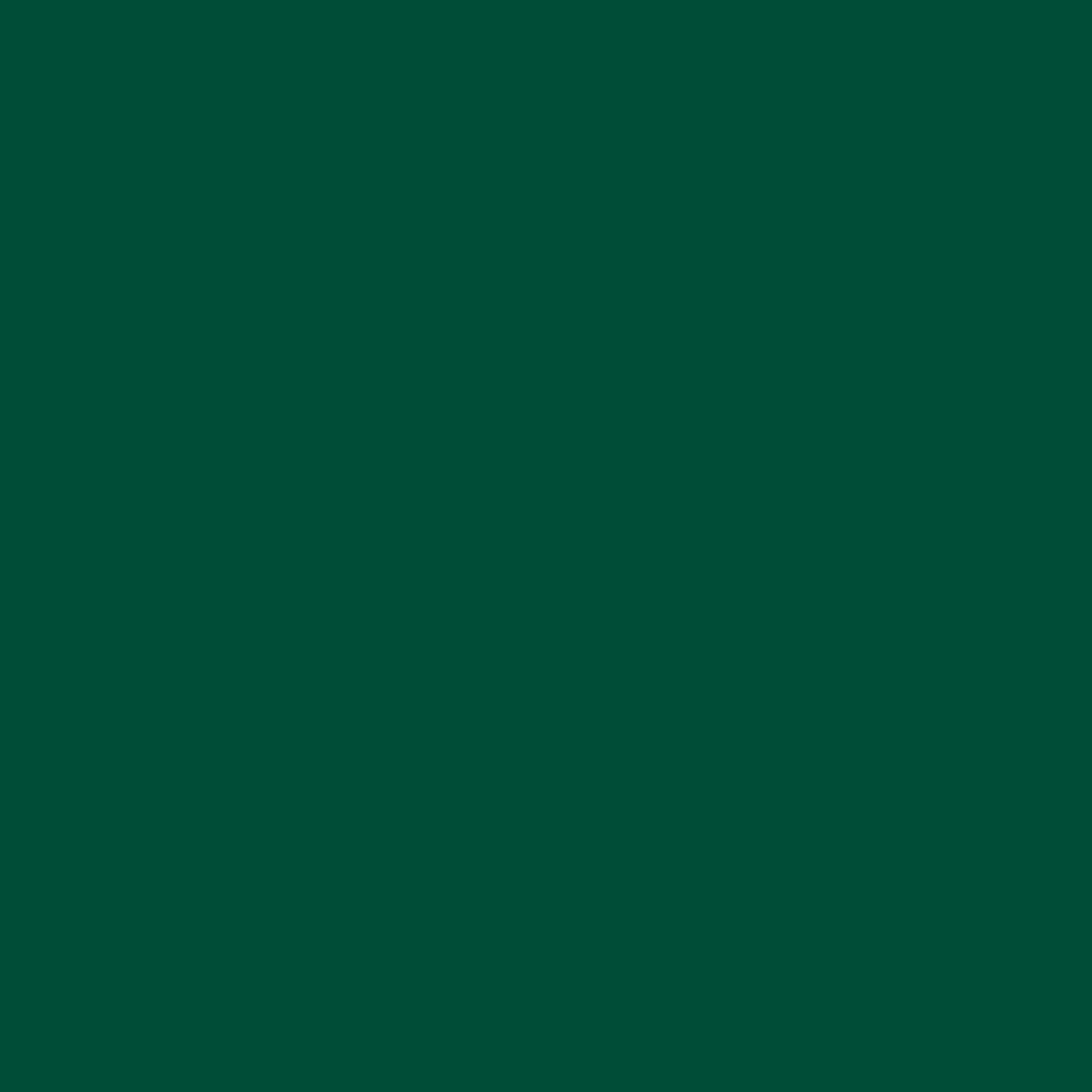 Sichtschutz Moosgrün (RAL® 6005)