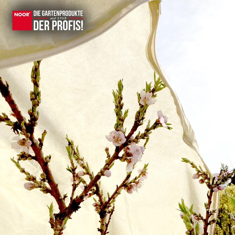 Winterschutz-Thermomantel XL PRO Ø120 x 250 cm