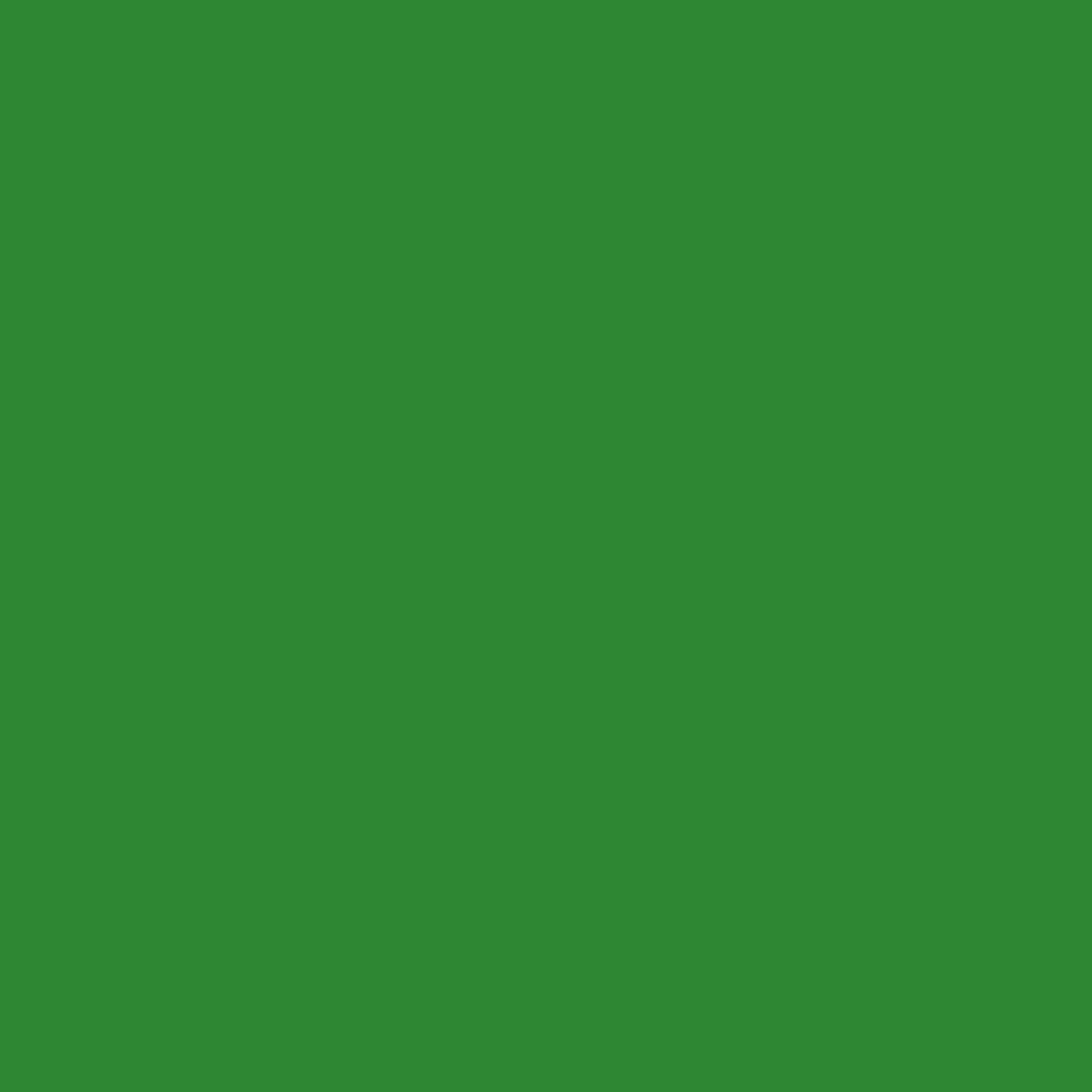 Sichtschutz Maigrün (RAL® 6017)