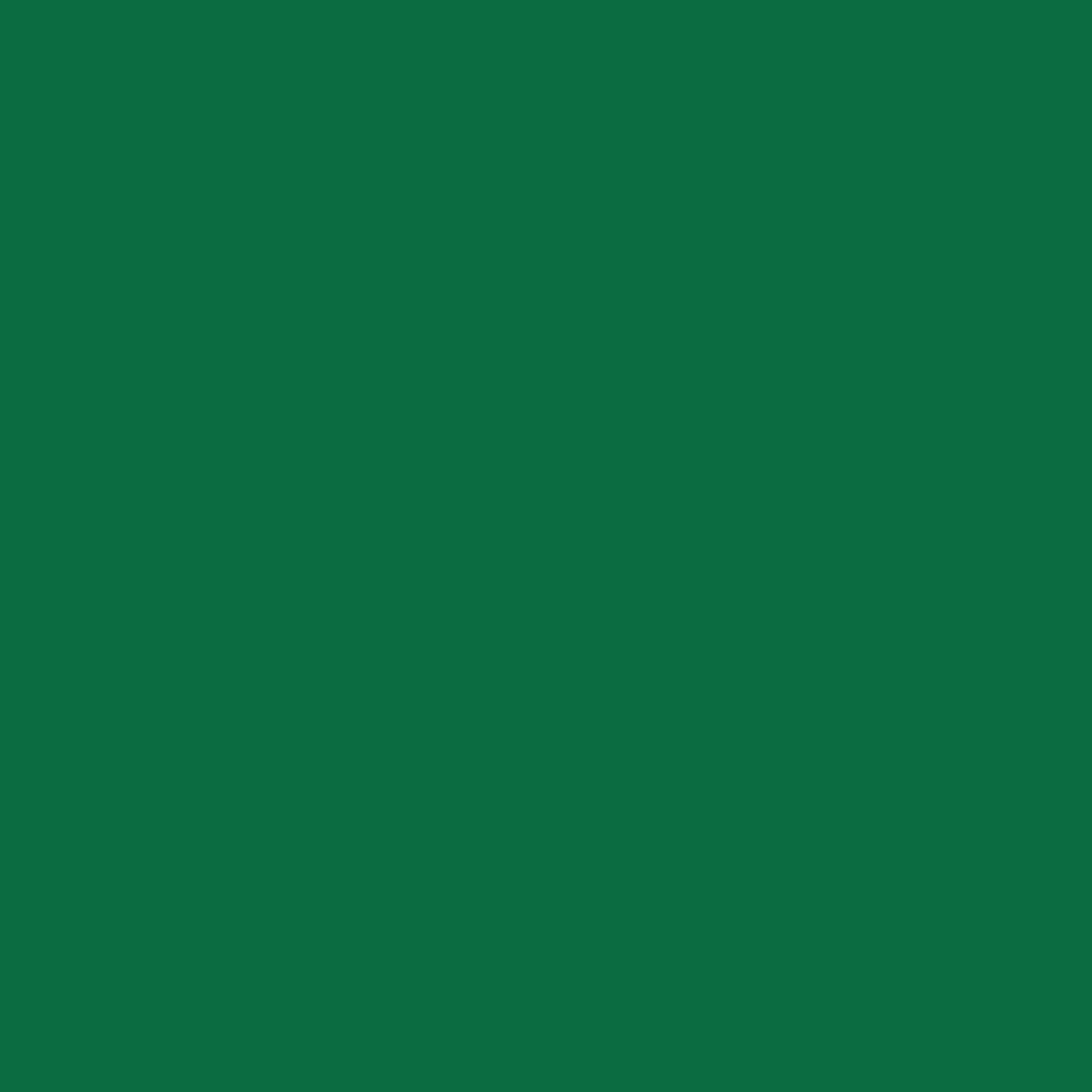 Sichtschutz Laubgrün (RAL® 6002)