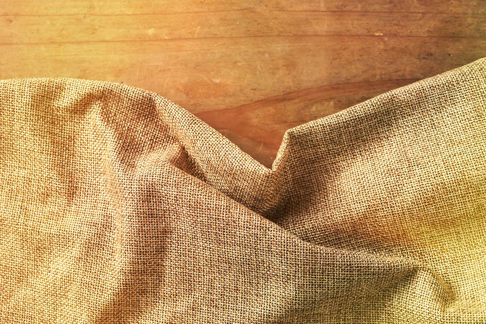 Jute