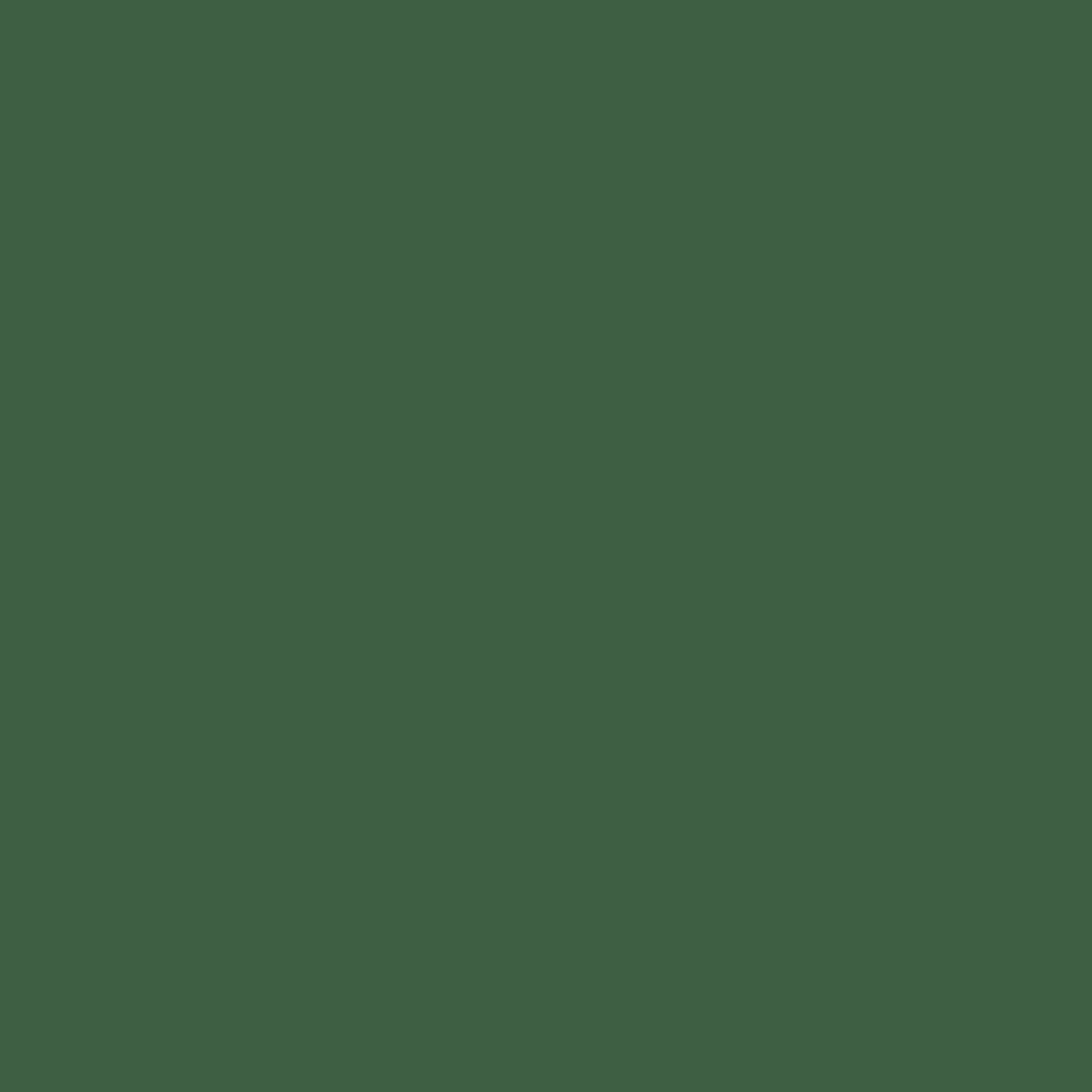 Sichtschutz Olivgrün (RAL® 6003)