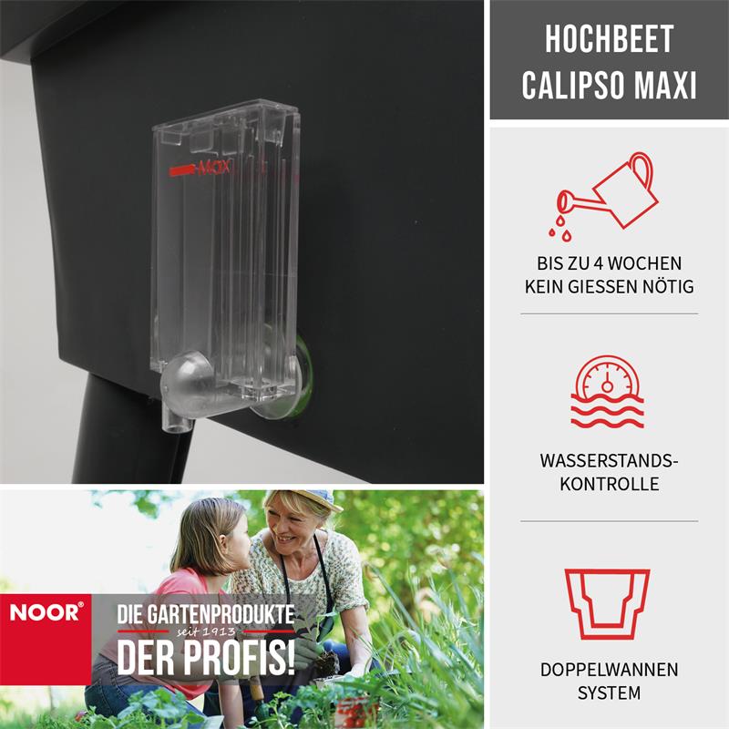 Hochbeet Calipso 81x38x100cm Komplettset mit HaubeFarbe: grün