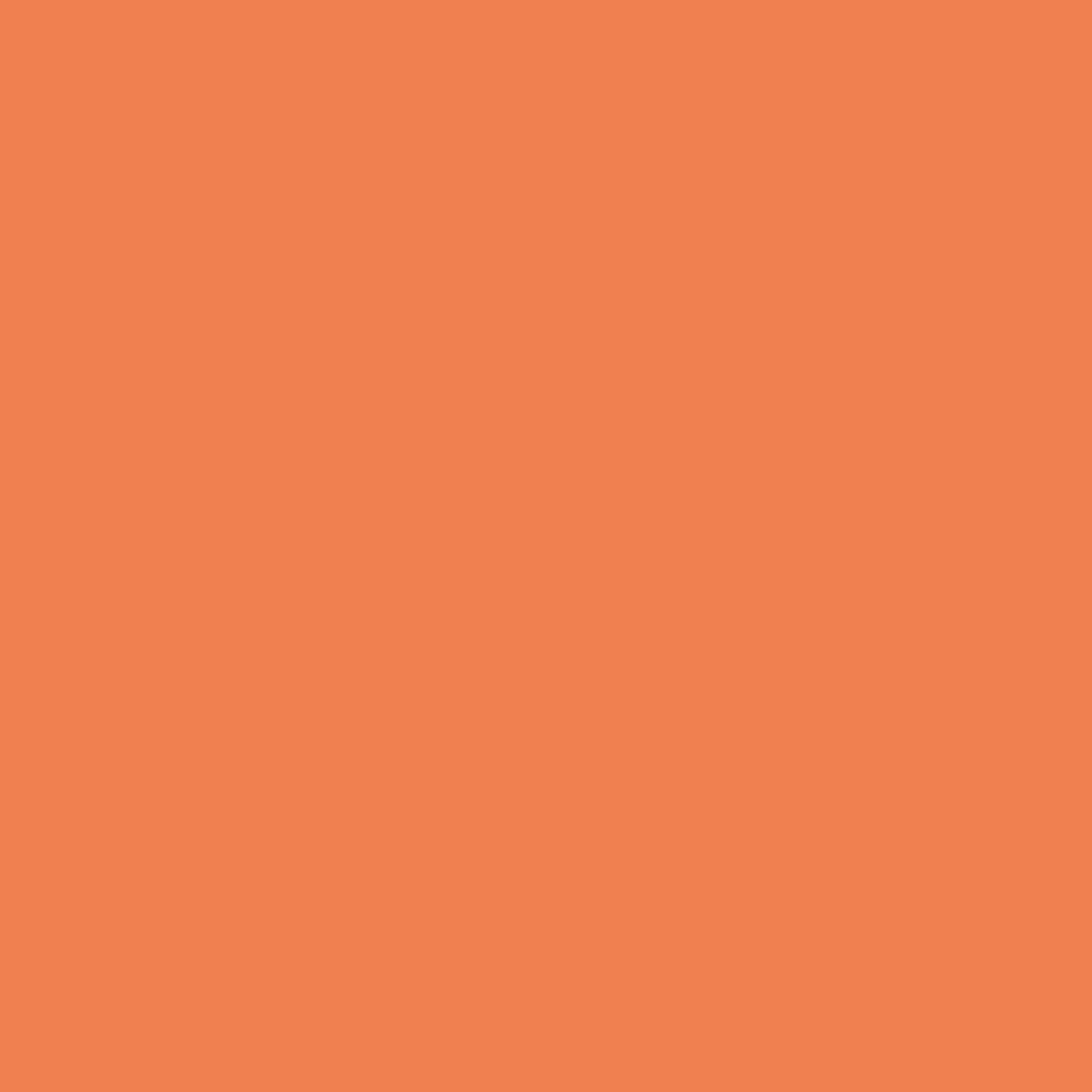 Sichtschutz Lachsorange (RAL® 2012)