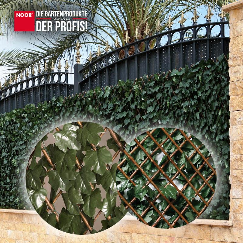 Rankhecke Weide mit Laub Laubhecke Spalier 1x2 m